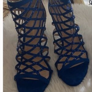 Formal Wear Royal Blue Heels